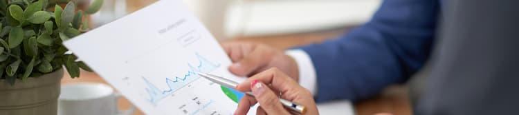 Potential NPA Report Automation